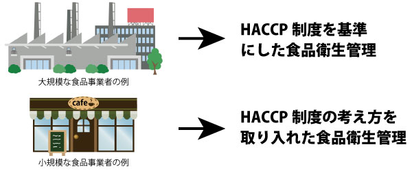 大規模な事業者→HACCP制度を基準にした食品衛生管理、小規模な事業者→HACCP制度の考え方を取り入れた食品衛生管理