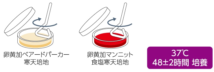 ブイヨン10mlに加えて培養