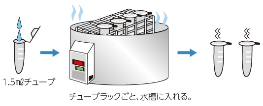 1.5mlチューブへ移し、10分間加熱